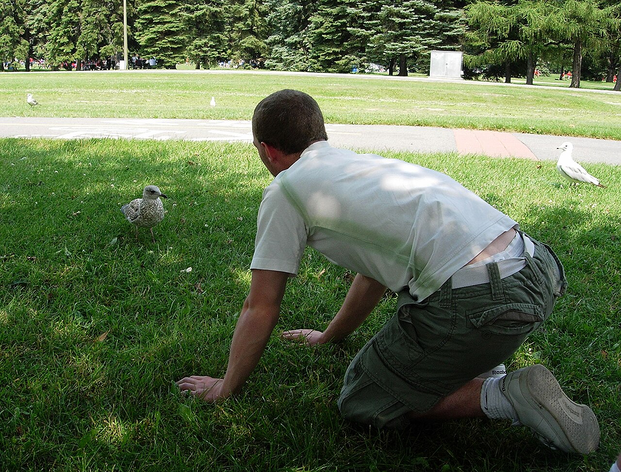 A photograph of Maisonneuve Park
