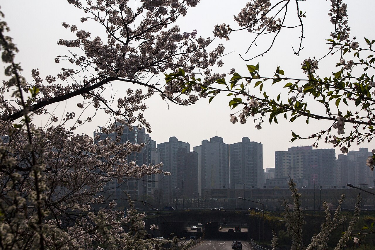 Yeouido Park fotoğrafı