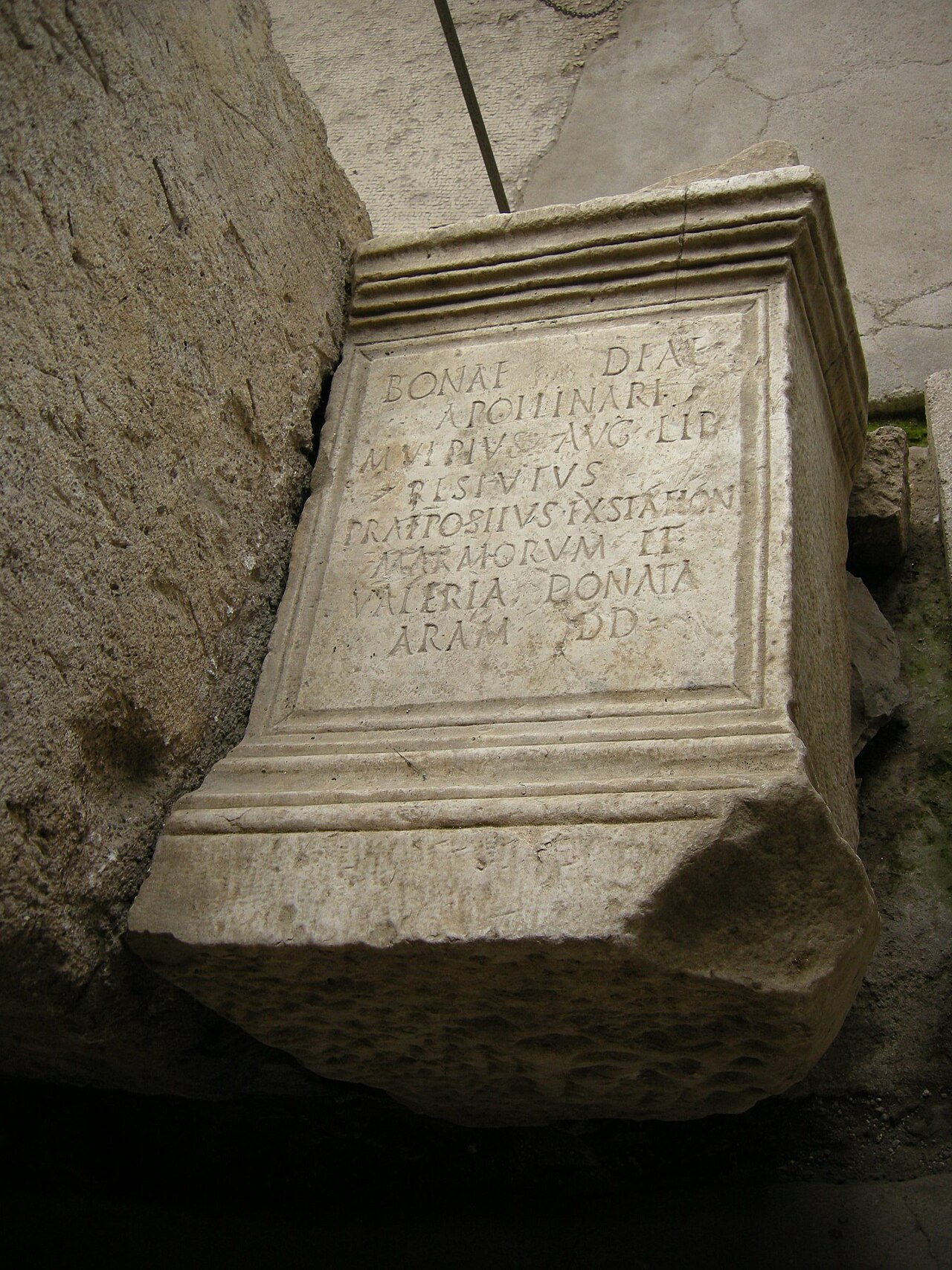 صورة Exedra