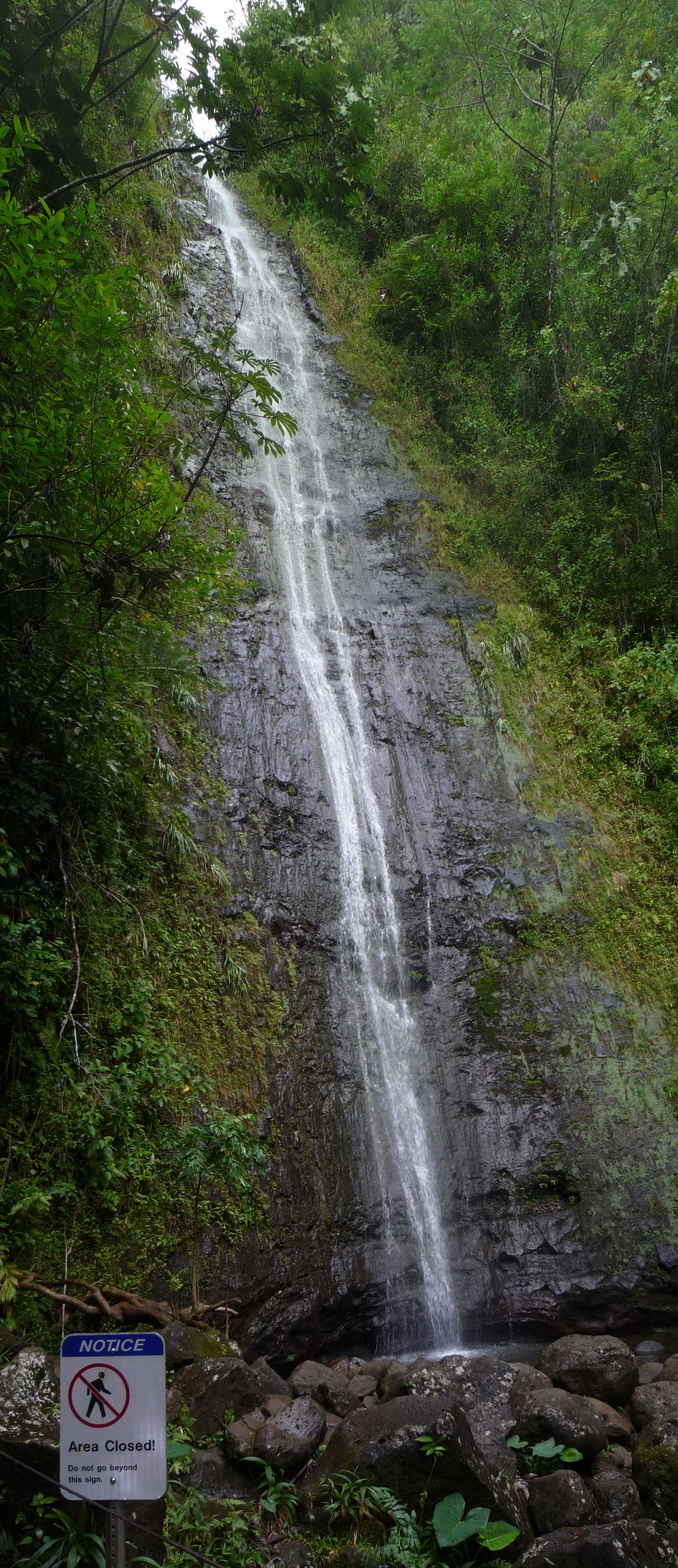Una fotografia di Manoa Falls