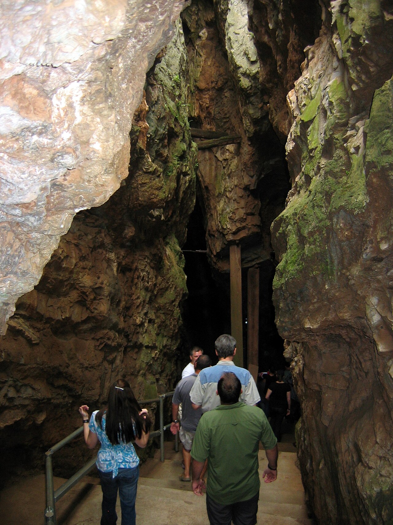 صورة Sterkfontein