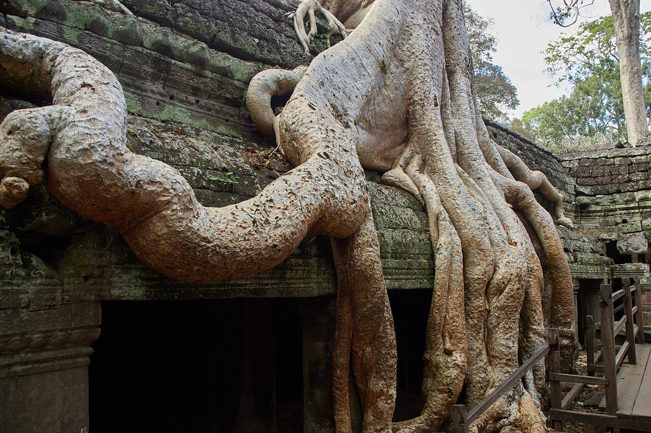 Ta Prohm Kel의 사진