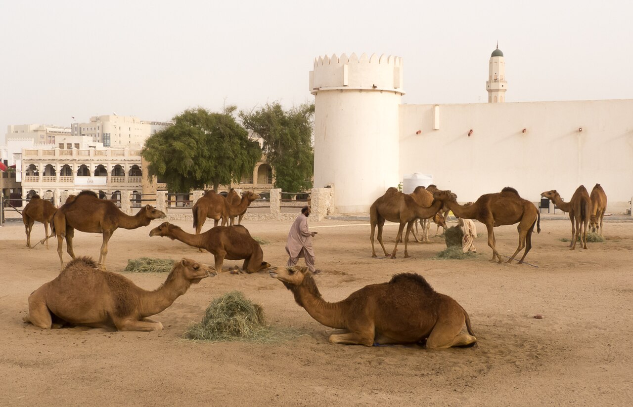 A photograph of Al Koot Fort