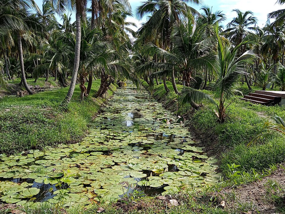 A photograph of Thawi Wanarom Park