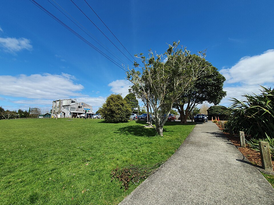 A photograph of Taylor Park