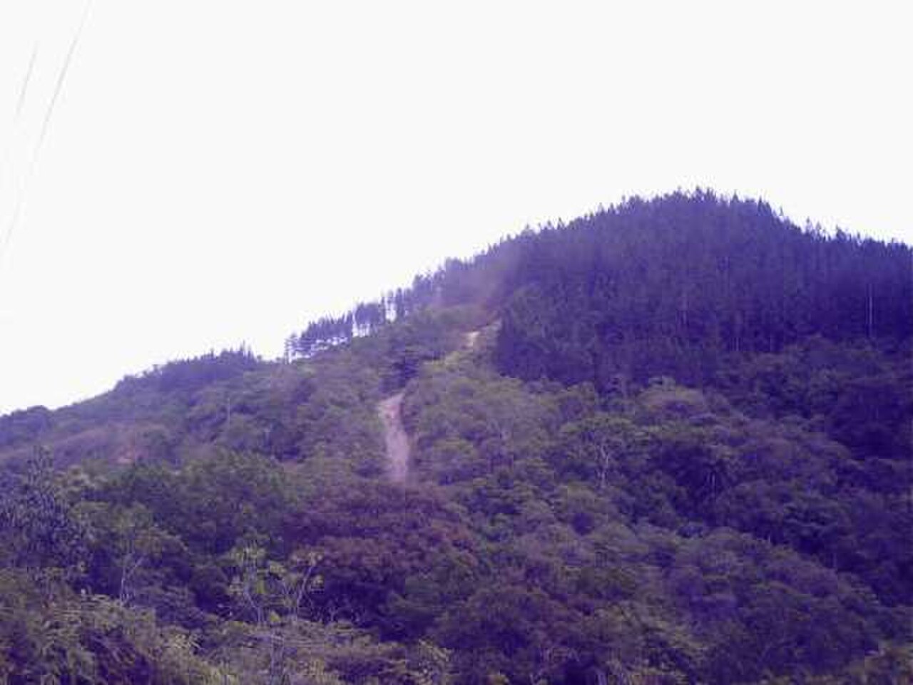 Mina District 的照片
