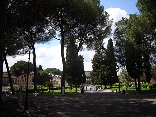Oppian Hill
