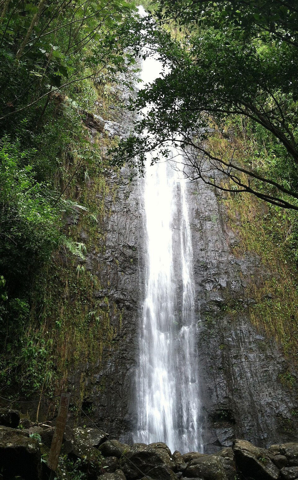 A photograph of Manoa Falls