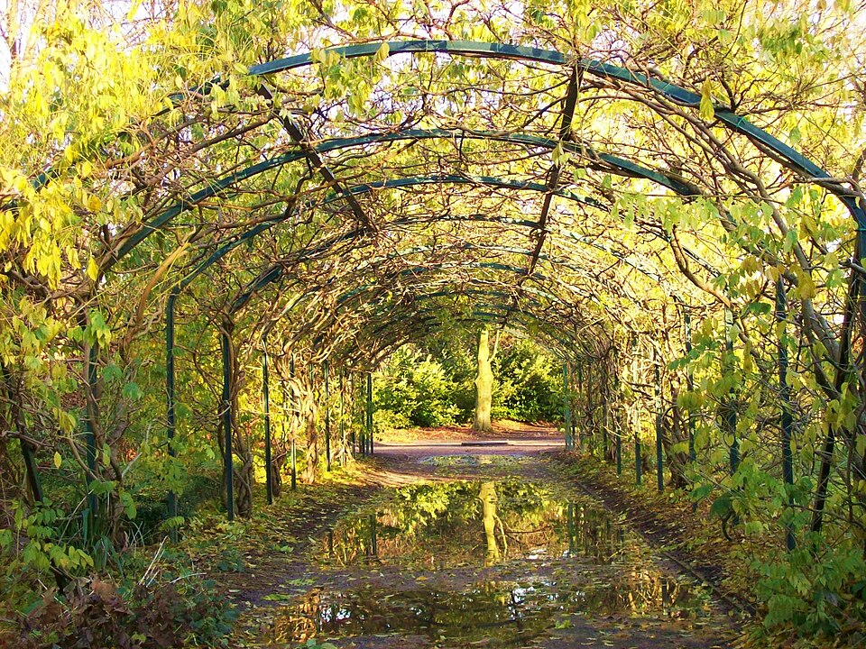 A photograph of Walkden Gardens