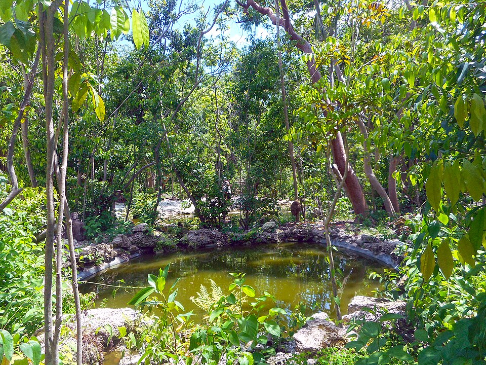 A photograph of Simpson Park Hammock