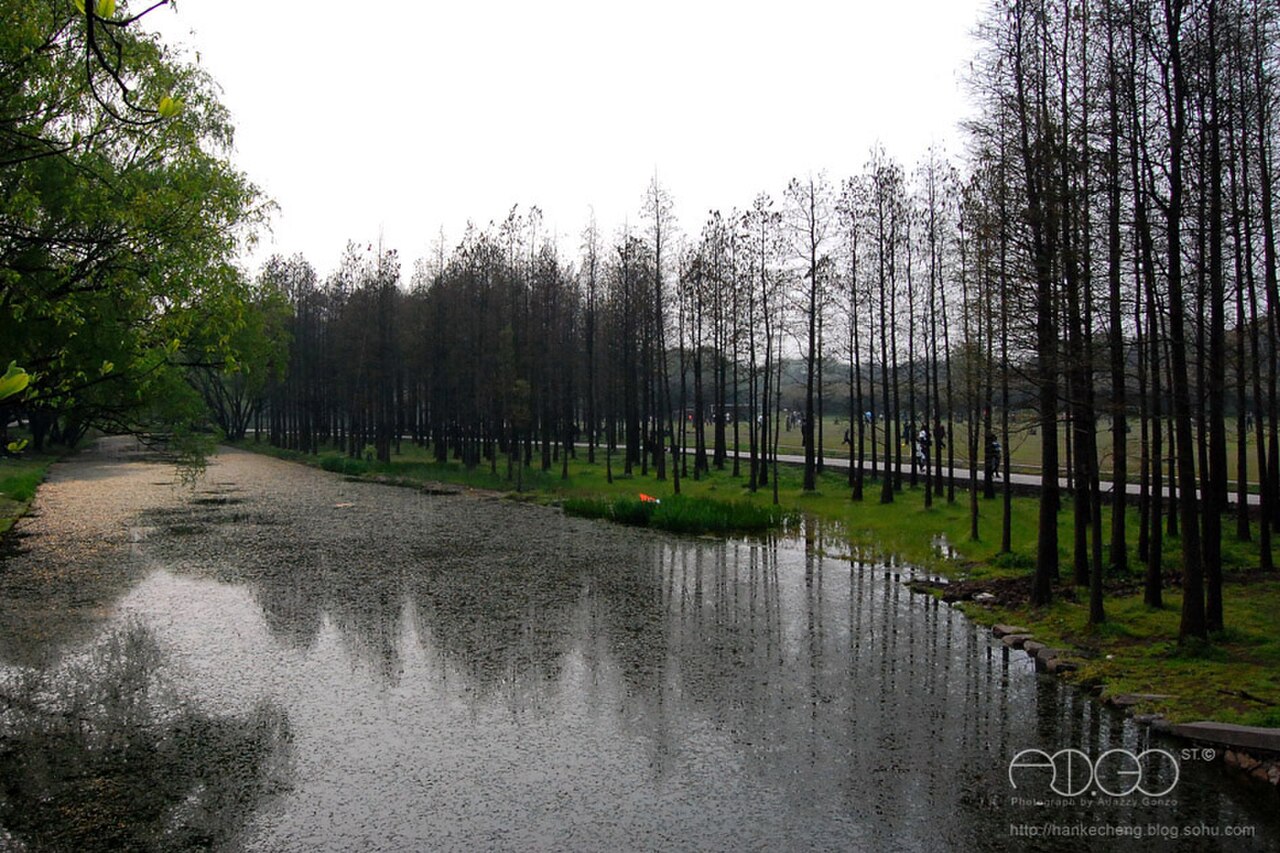 Gongqing Forest Park fotoğrafı