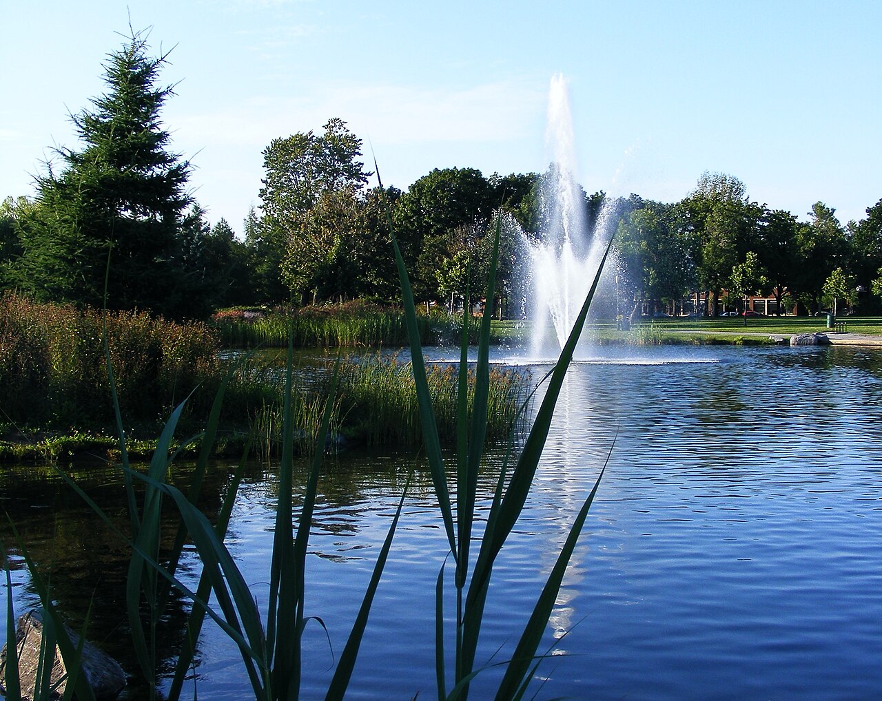 A photograph of Jarry Park