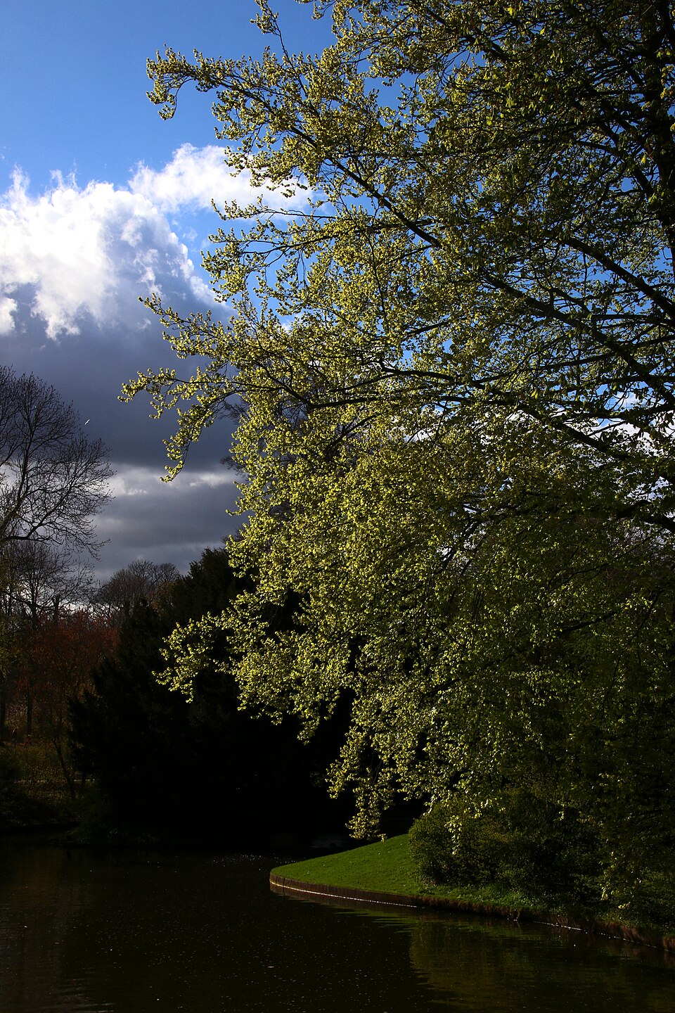A photograph of Frederiksberg Park