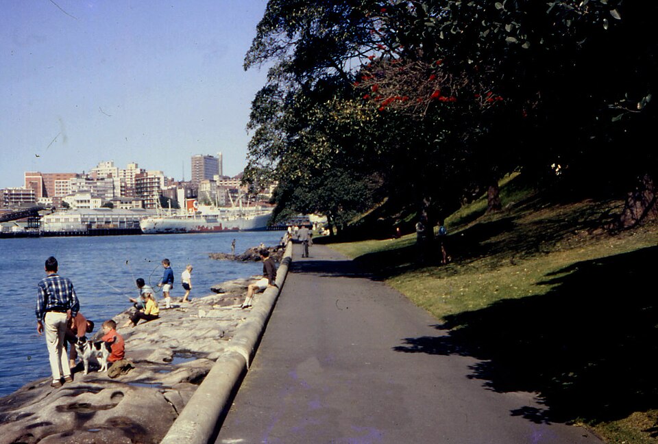 A photograph of Mrs Macquarie's Chair