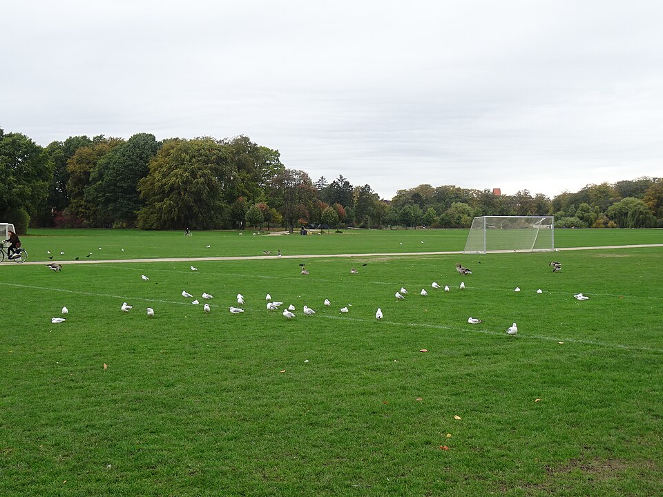 A photograph of Fælledparken