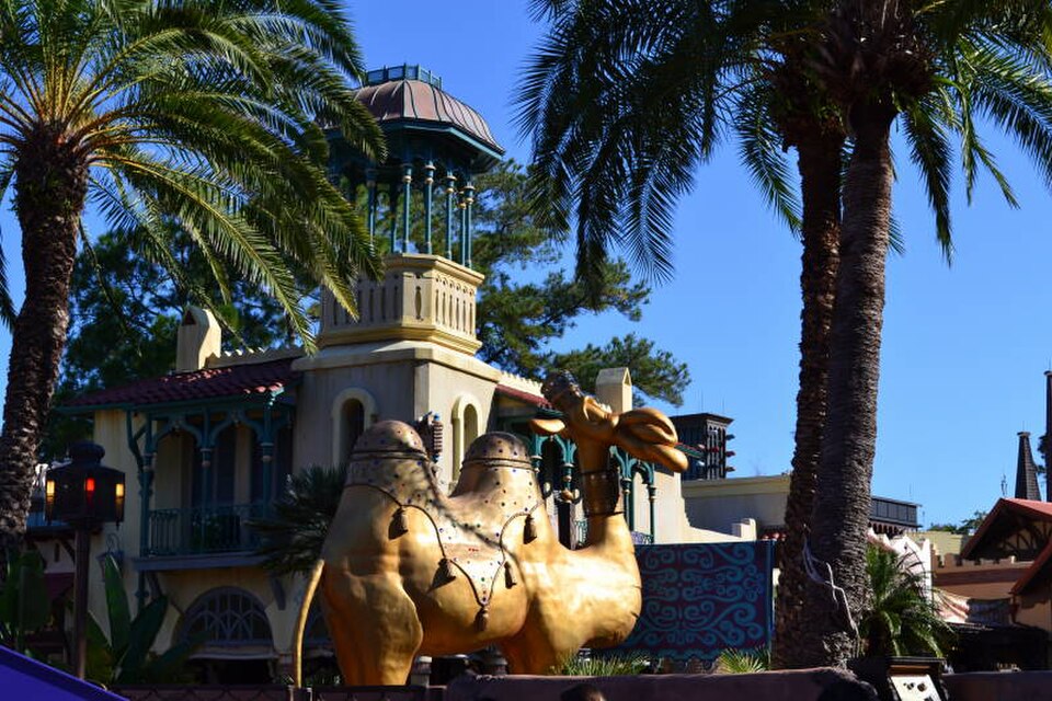 A photograph of Magic Kingdom Park