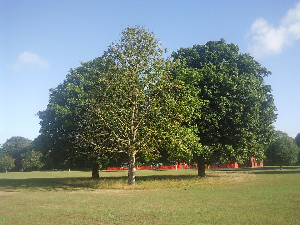 A photograph of Fairy Hill Park