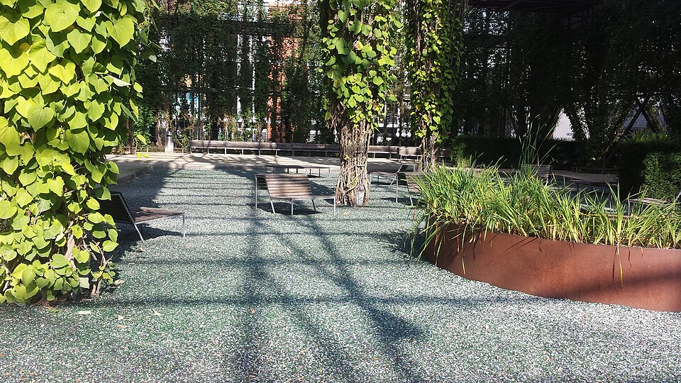 A photograph of MFO-Park