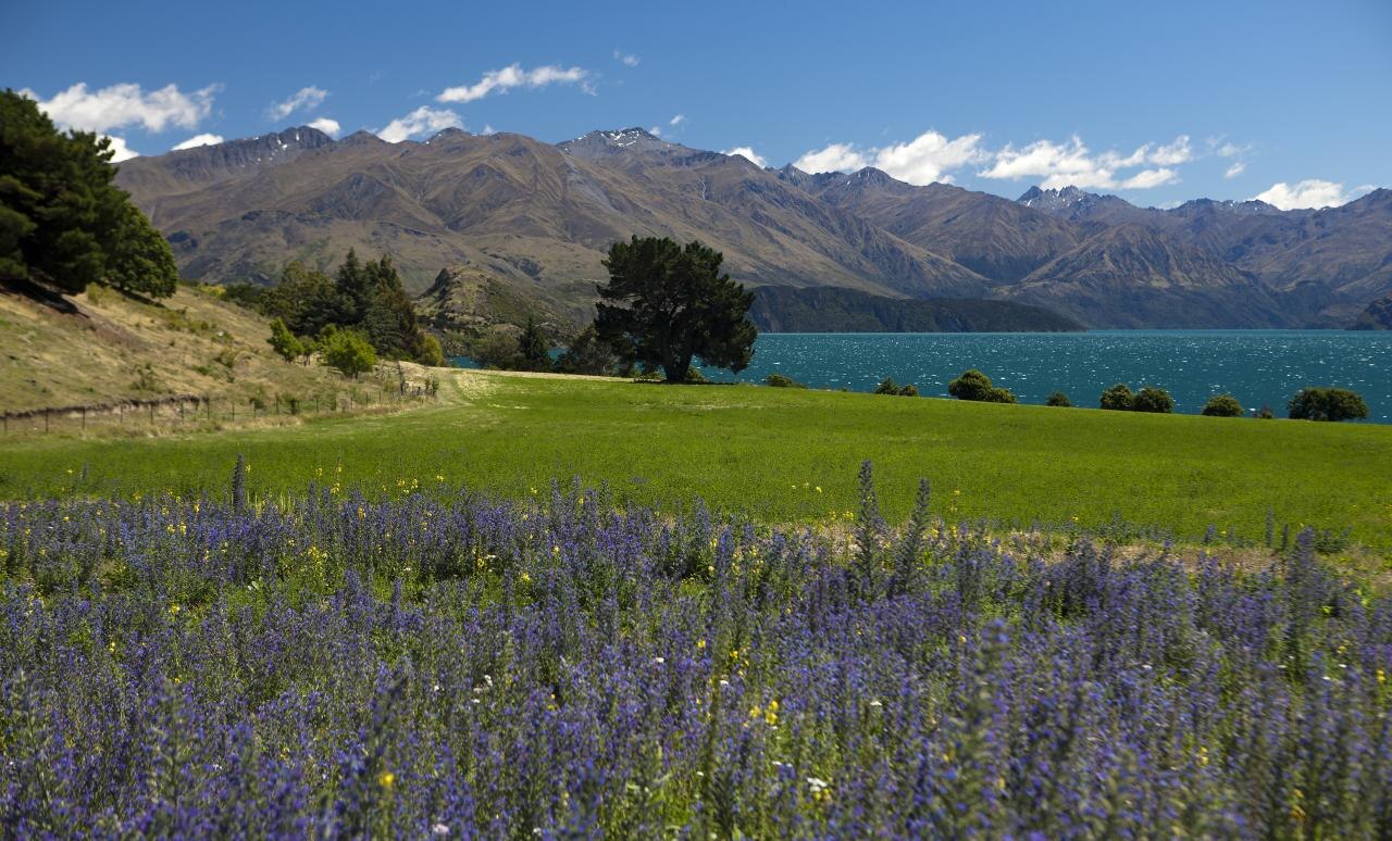 Una fotografia di Glenorchy
