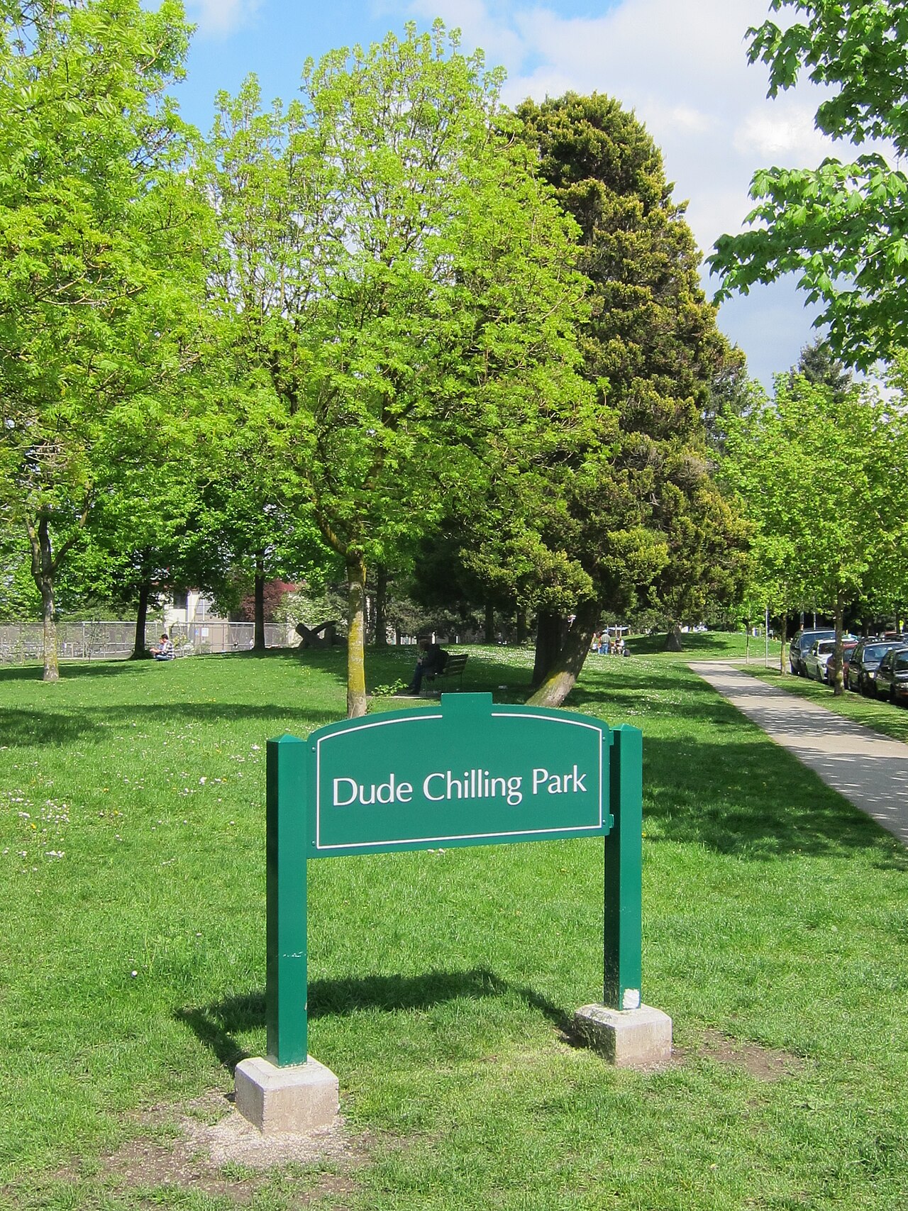 A photograph of Dude Chilling Park