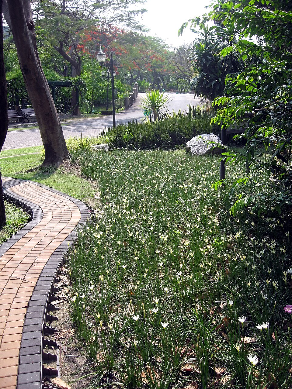 A photograph of Queen Sirikit Park