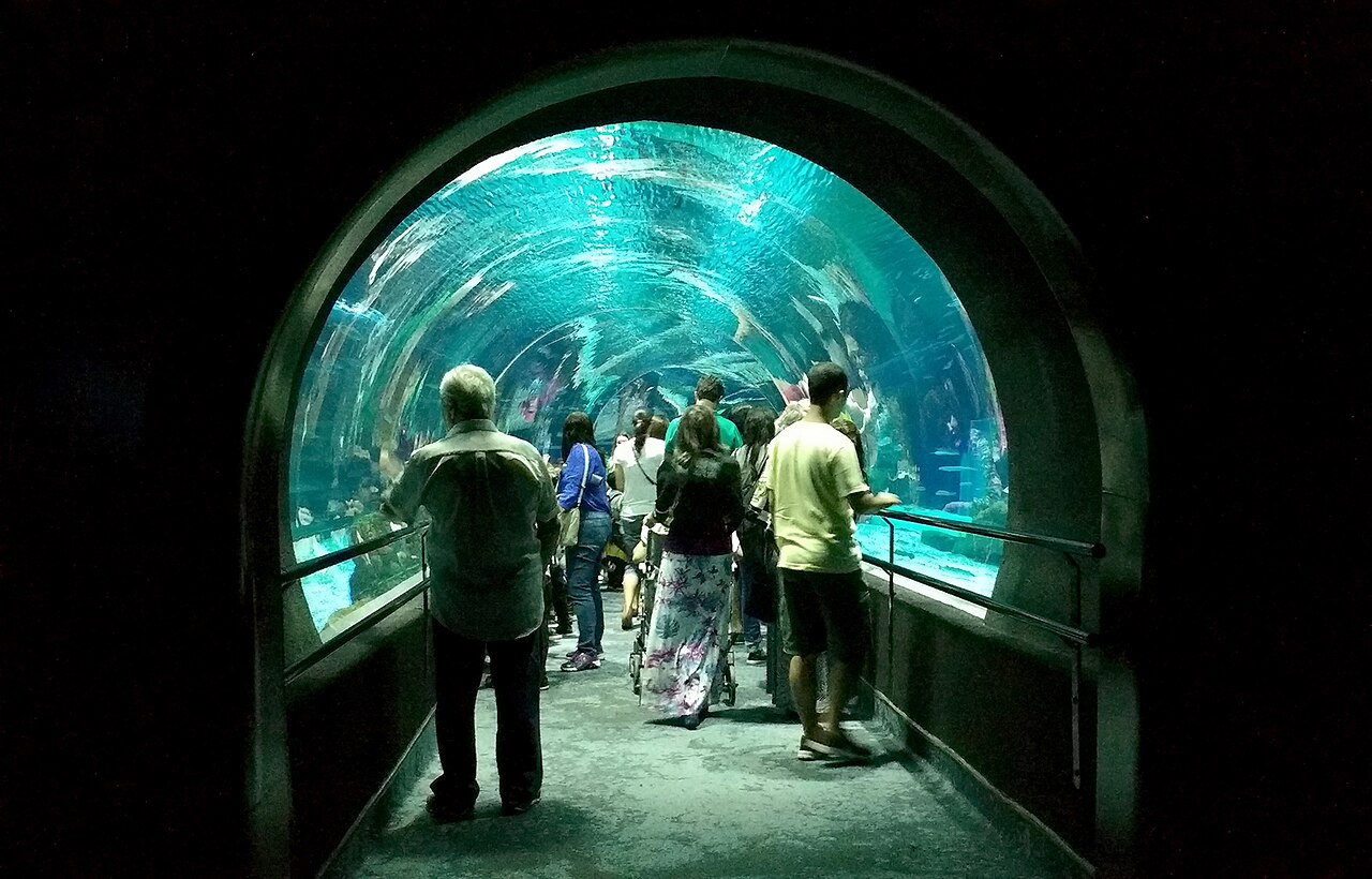 AquaRio の写真