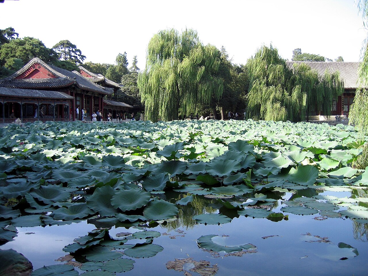 香山公园 fotoğrafı