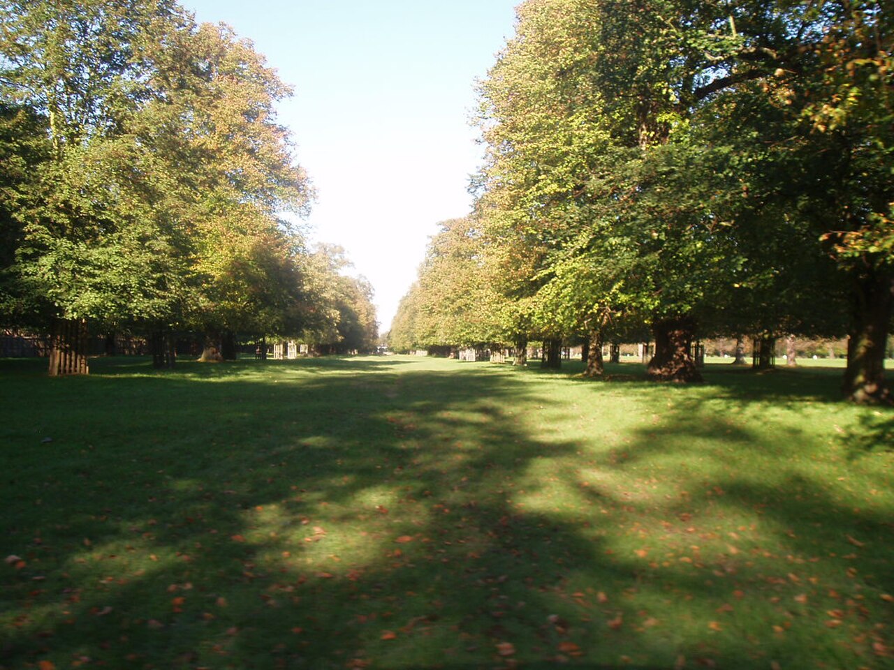 Bushy Park の写真