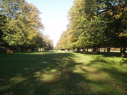 Bushy Parkı