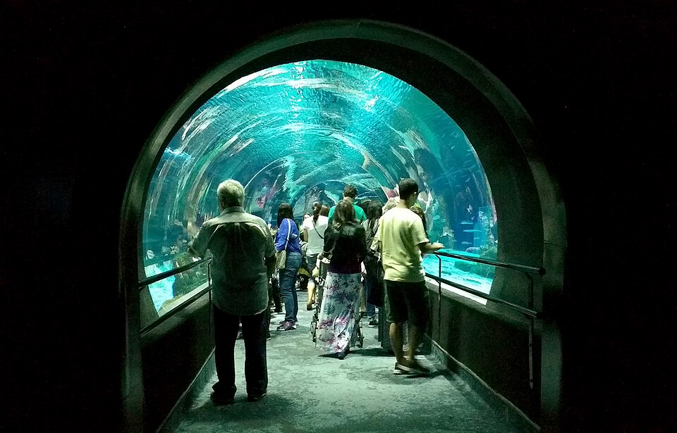A photograph of AquaRio