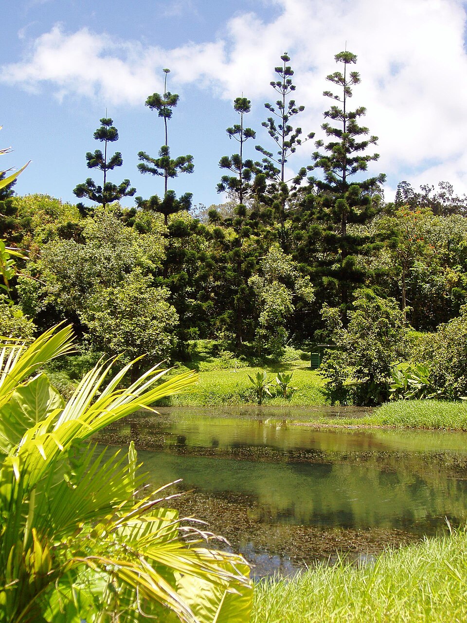 A photograph of Ho'omaluhia Botanical Garden