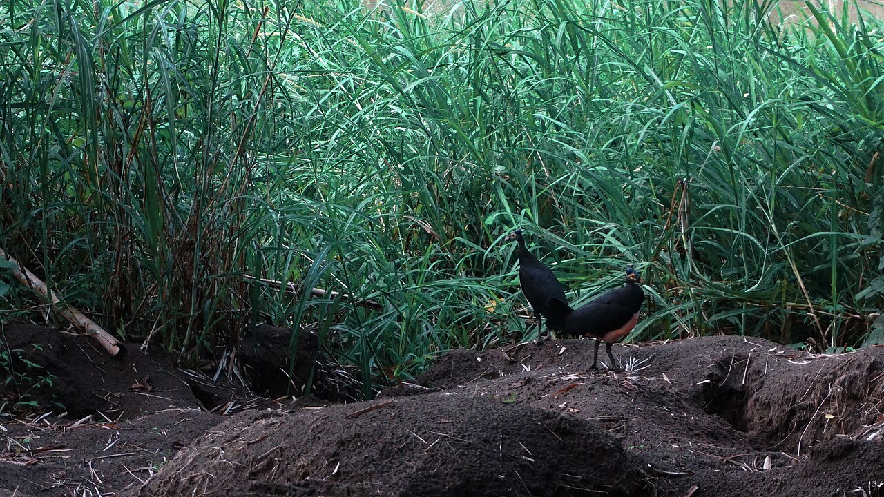 Una fotografia di Bogani Park