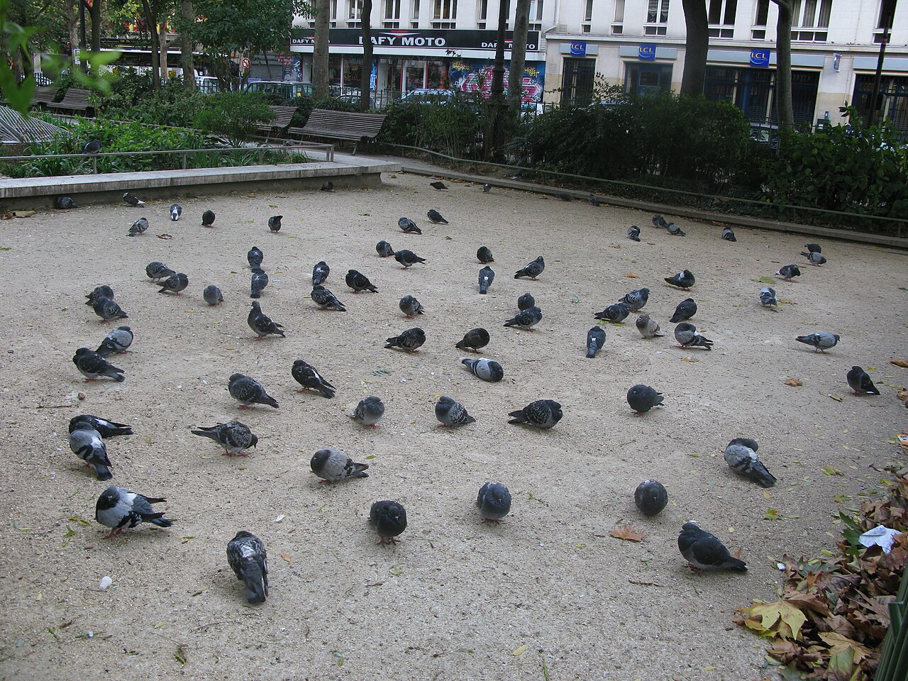 Jardin May Picqueray