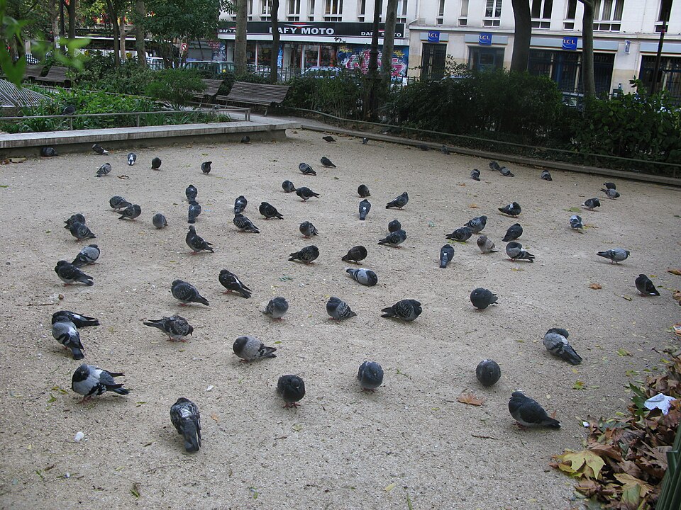 A photograph of Jardin May-Picqueray