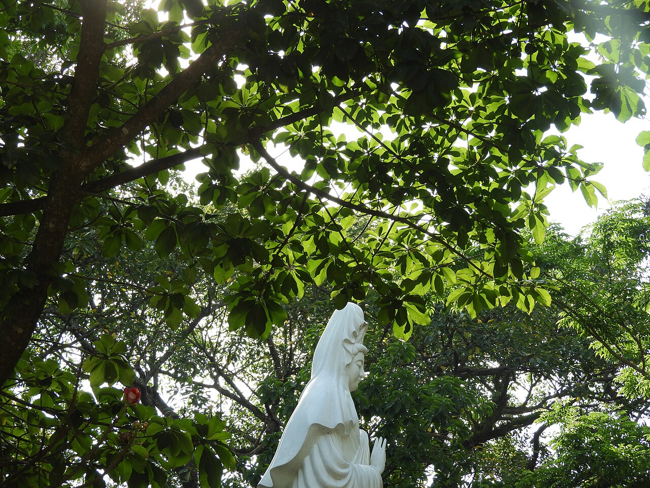 A photograph of Thiên An Pagoda (Chua Thiên An)