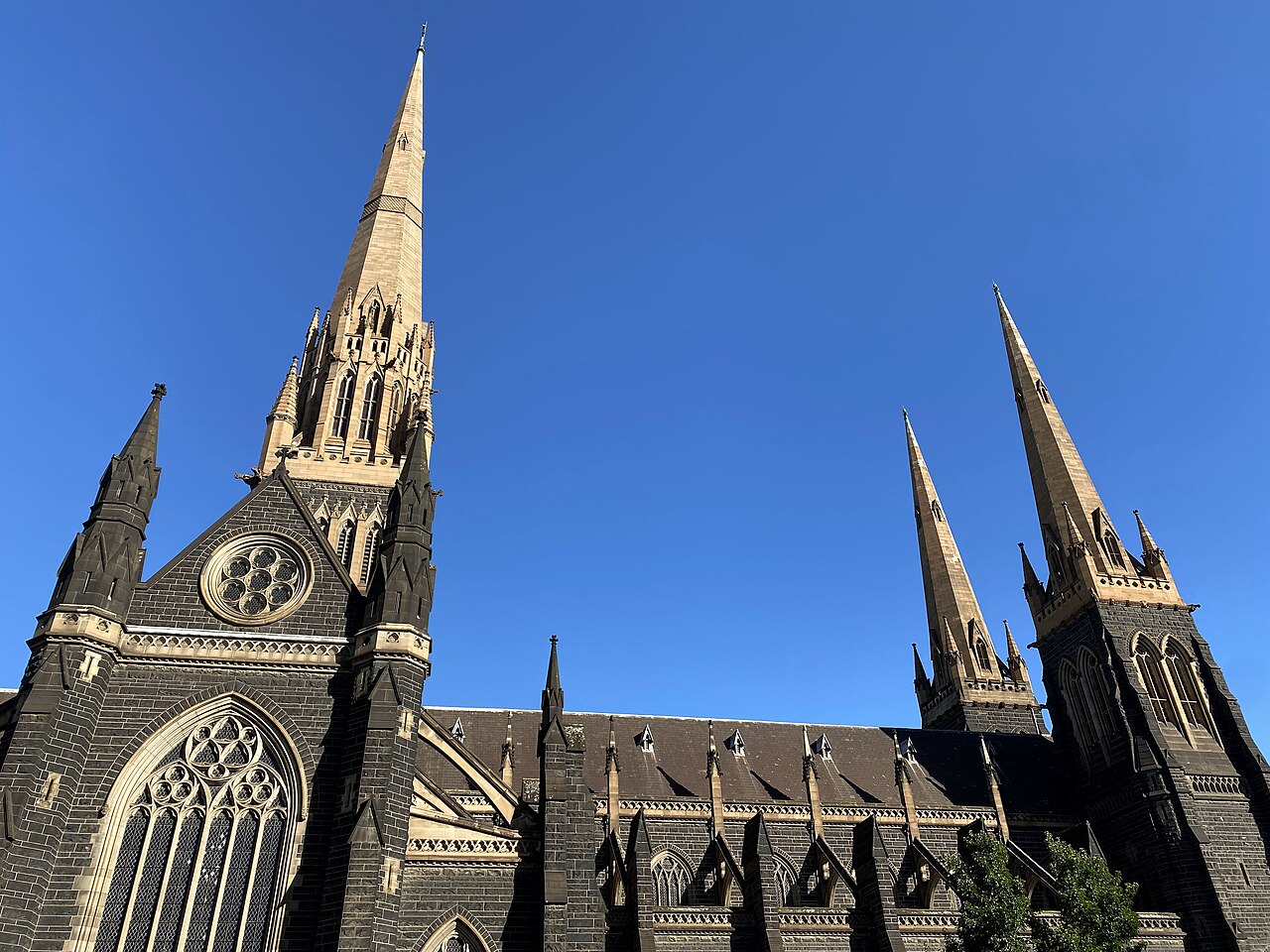 Une photographie de Saint Patrick's Cathedral