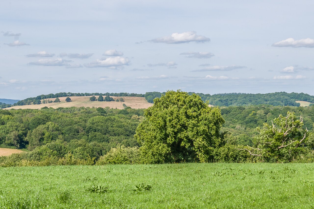 Una fotografia di St Margarets