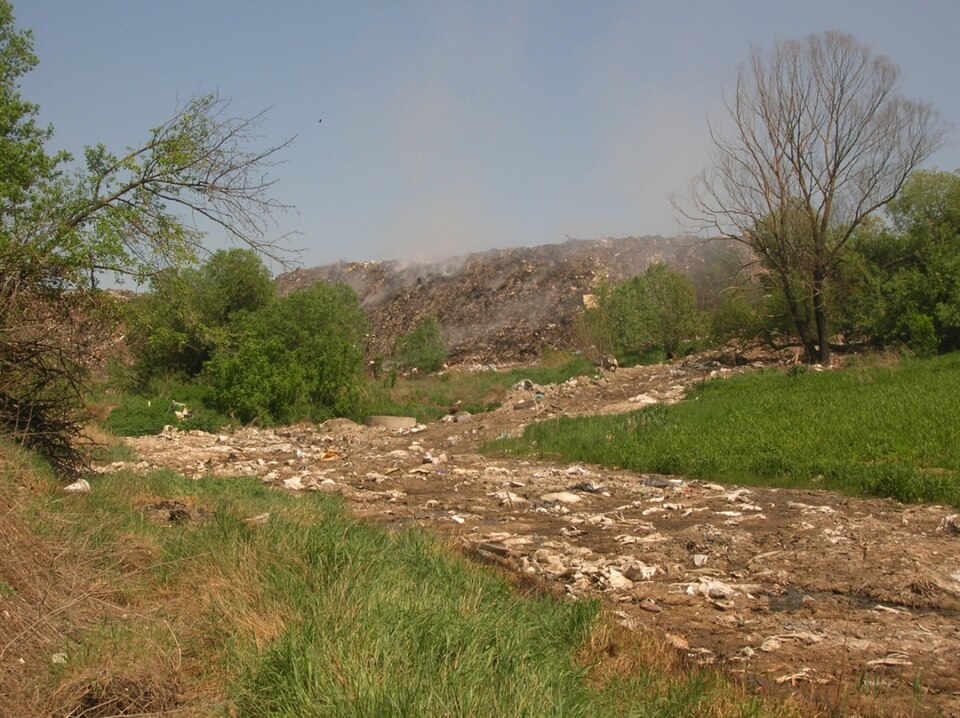A photograph of Gully Reserve