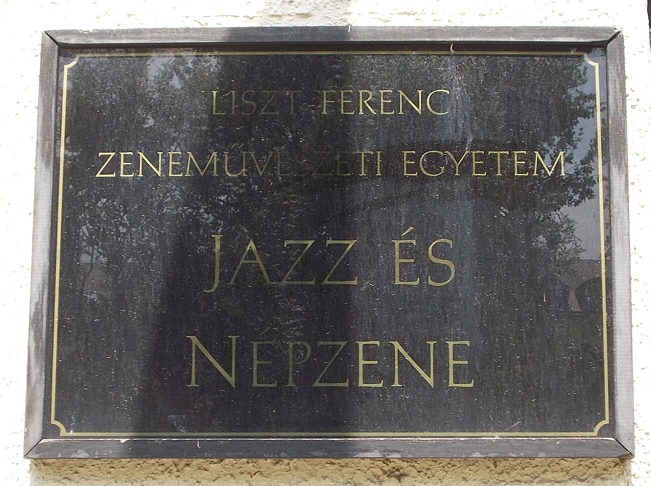 Franz Liszt Müzik Akademisi fotoğrafı