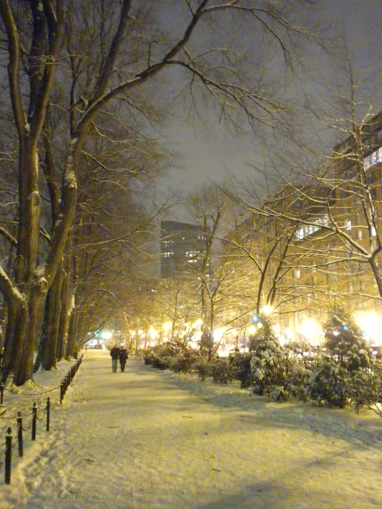 Public Garden
