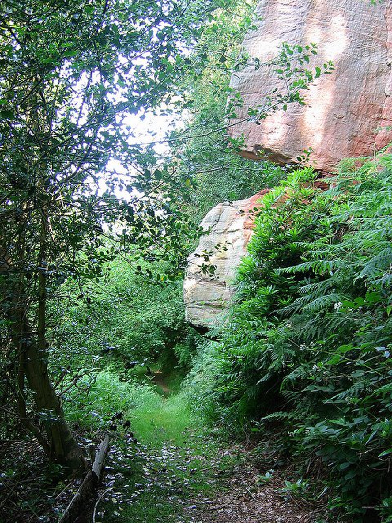 Roslin Glen Country Park の写真