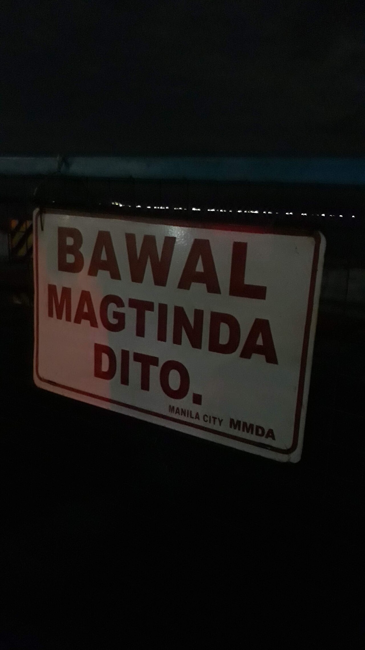 A photograph of Manila Baywalk