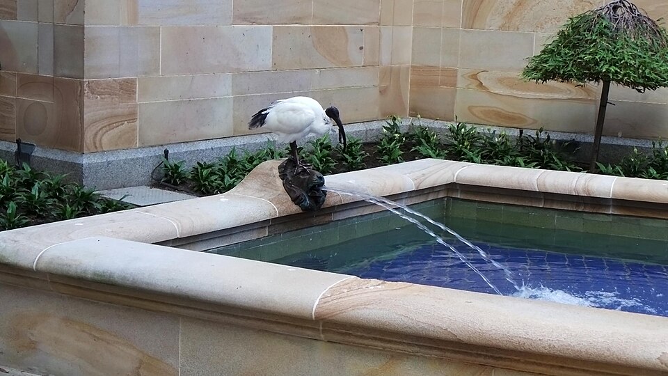 A photograph of ANZAC Square