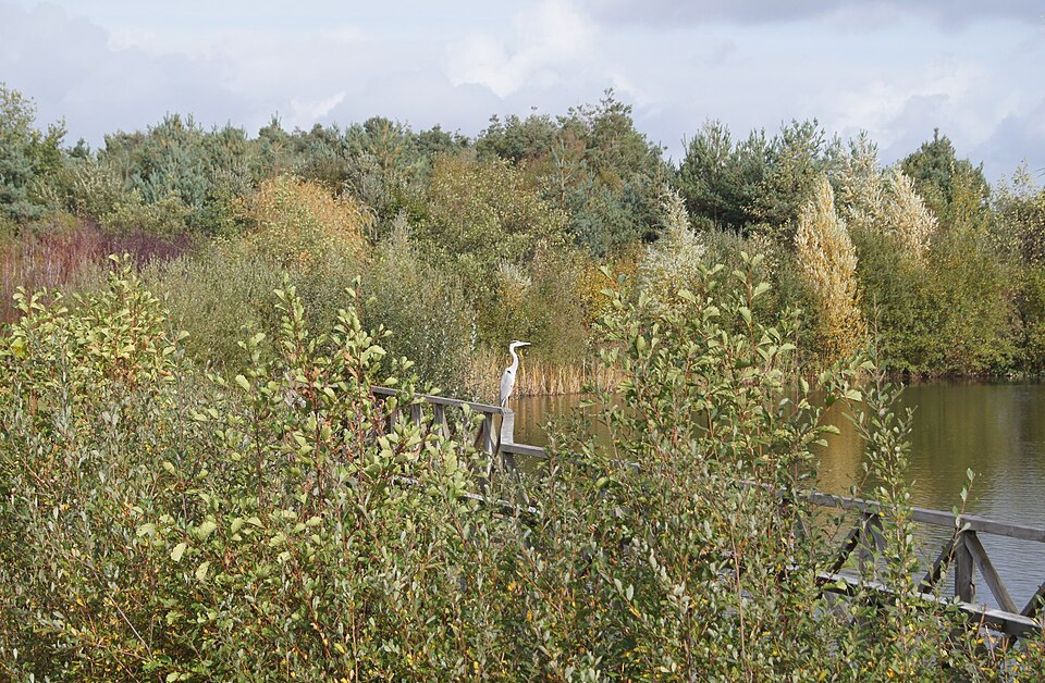 A photograph of Turners Pond