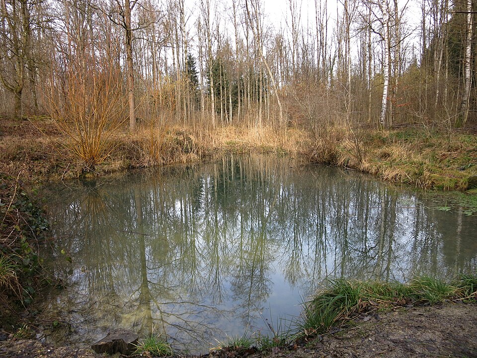 A photograph of Hönggerberg