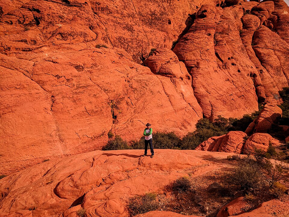 A photograph of Red Rock Canyon National Conservation Area