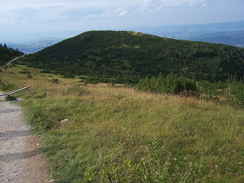 A photograph of Kopa