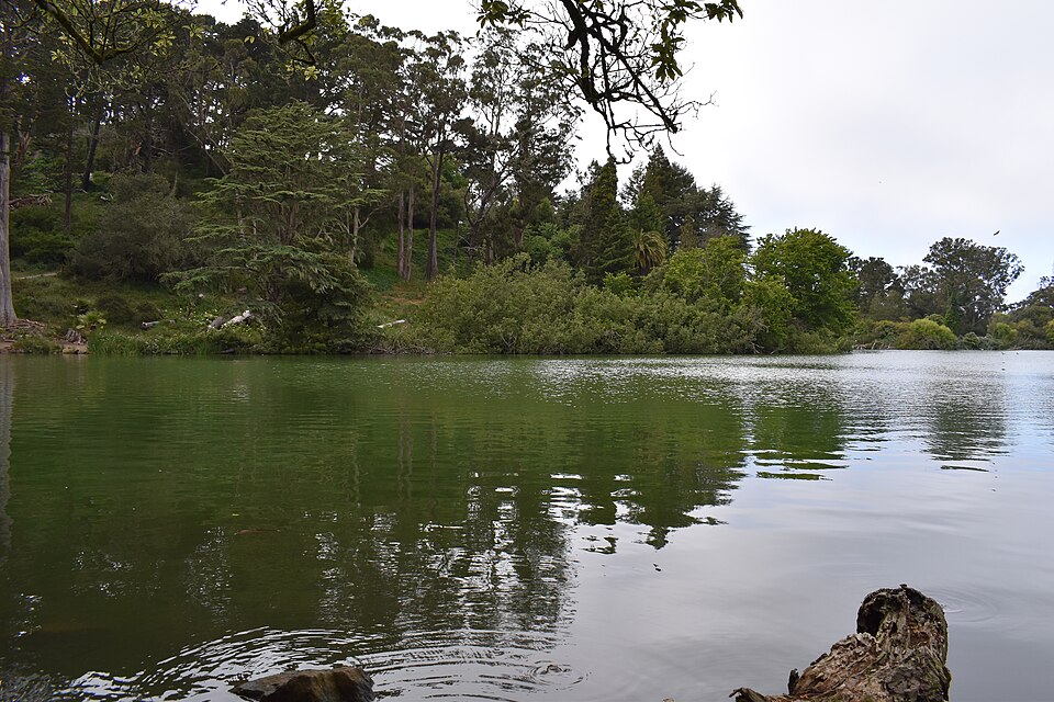 A photograph of Blue Heron Lake