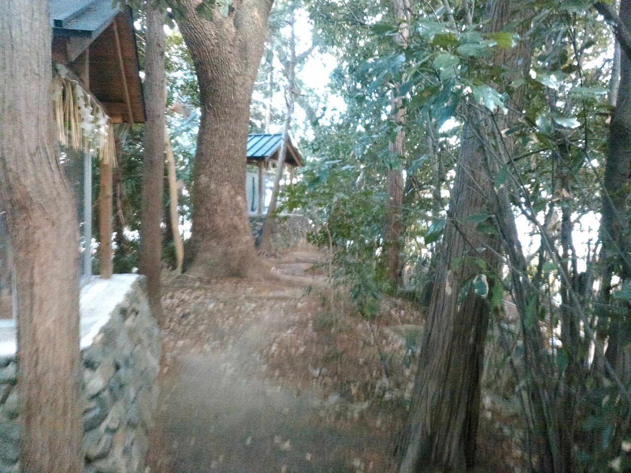 صورة Imakumano Shrine
