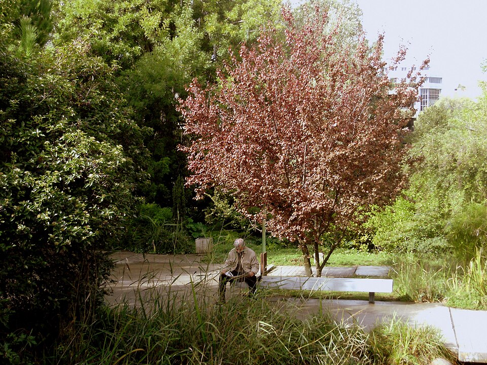 A photograph of Gulbenkian Park